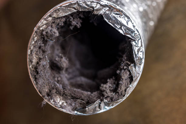 Best Residential Air Duct Cleaning  in Geneva, IL